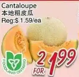 Foody Mart Cantaloupe offer
