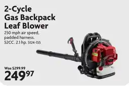 Home Hardware 2-Cycle Gas Backpack Leaf Blower offer