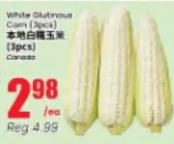 White Glutinous Corn