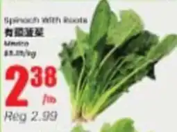 Btrust Supermarket Spinach with Roots offer