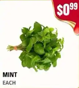 Atiya's Fresh Farm Mint offer
