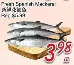 Foody Mart Fresh Spanish Mackerel offer