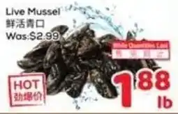 Foody Mart Live Mussel offer