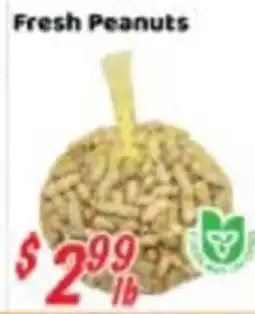 Nations Fresh Foods Fresh Peanuts offer