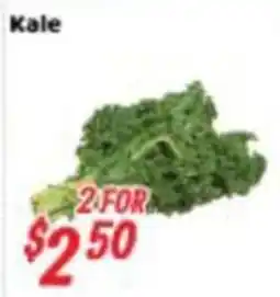 Nations Fresh Foods Kale offer