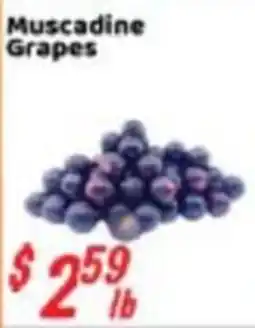Nations Fresh Foods Muscadine Grapes offer