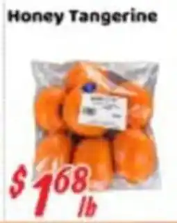 Nations Fresh Foods Honey Tangerine offer