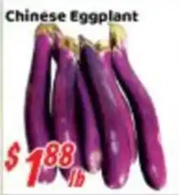 Nations Fresh Foods Chinese Eggplant offer