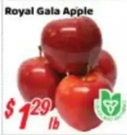 Nations Fresh Foods Royal Gala Apple offer