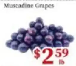 Nations Fresh Foods Muscadine Grapes offer