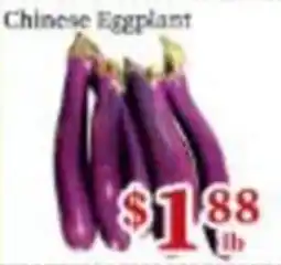Nations Fresh Foods Chinese Eggplant offer