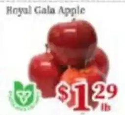Nations Fresh Foods Royal Gala Apple offer