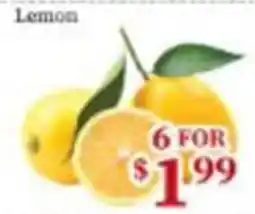 Nations Fresh Foods Lemon offer