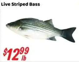 Nations Fresh Foods Live Striped Bass offer