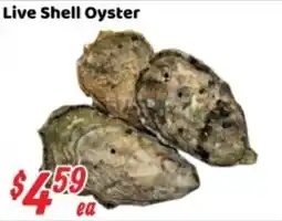Nations Fresh Foods Live Shell Oyster offer