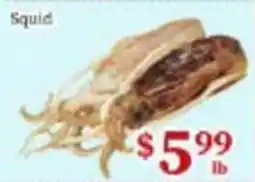 Nations Fresh Foods Squid offer