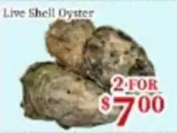 Nations Fresh Foods Live Shell Oyster offer