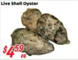 Nations Fresh Foods Live Shell Oyster offer