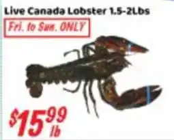 Nations Fresh Foods Live Canada Lobster offer