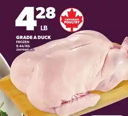 Loblaws GRADE A DUCK offer