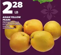 Loblaws ASIAN YELLOW PEAR offer