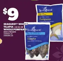 Loblaws SEAQUEST WHOLE TILAPIA, 1.36 KG OR WHOLE POMPANO, 800 G offer