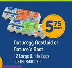Loblaws NATUREGG NESTLAID OR NATURE'S BEST, 12 LARGE WHITE EGGS offer