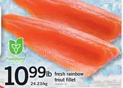 Loblaws FRESH RAINBOW TROUT FILLET offer