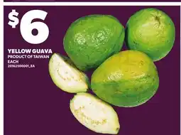 Loblaws YELLOW GUAVA, EACH offer