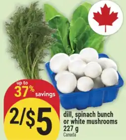 Marché Adonis dill, spinach bunch or white mushrooms offer