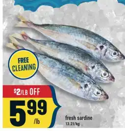 Marché Adonis fresh sardine offer