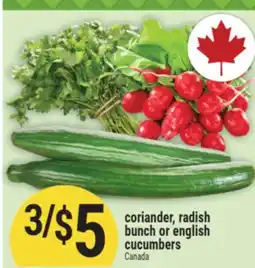 Marché Adonis coriander, radish bunch or english cucumbers offer