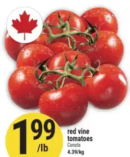 Marché Adonis red vine tomatoes offer