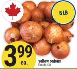 Marché Adonis yellow onions offer