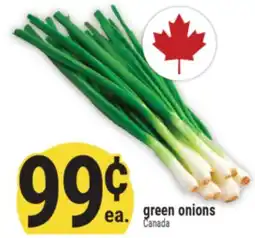 Marché Adonis green onions offer