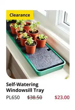 Lee Valley Tools Self-Watering Windowsill Tray offer