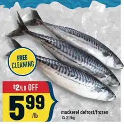 Marché Adonis mackerel defrost/frozen offer
