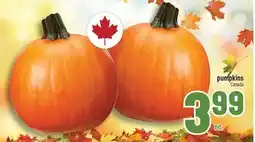 Marché Adonis Pumpkins offer