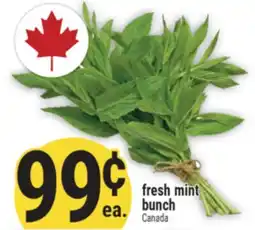Marché Adonis fresh mint bunch offer