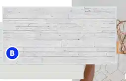 RONA MUR DESIGN 4' x 8' wall panels offer