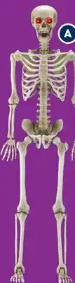 RONA LED decorative skeleton offer