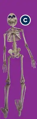 RONA Skeleton offer
