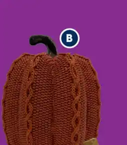 RONA 7.5 pumpkin offer