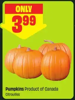 FreshCo Pumpkins Product of Canada offer