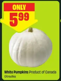 FreshCo White Pumpkins Product of Canada offer