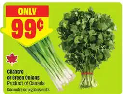 FreshCo Cilantro or Green Onions Product of Canada offer