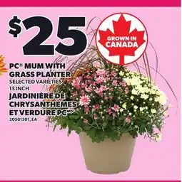 Independent Grocer PC MUM WITH GRASS PLANTER offer