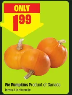 FreshCo Pie Pumpkins Product of Canada offer