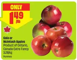 FreshCo Gala or McIntosh Apples Product of Ontario, Canada Extra Fancy 3.28/kg offer