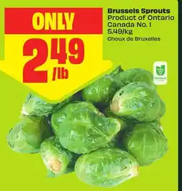 FreshCo Brussels Sprouts Product of Ontario Canada No. 1 5,49/kg offer